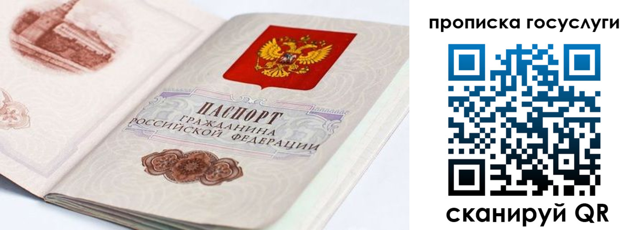 прописка гарантия в Моздоке